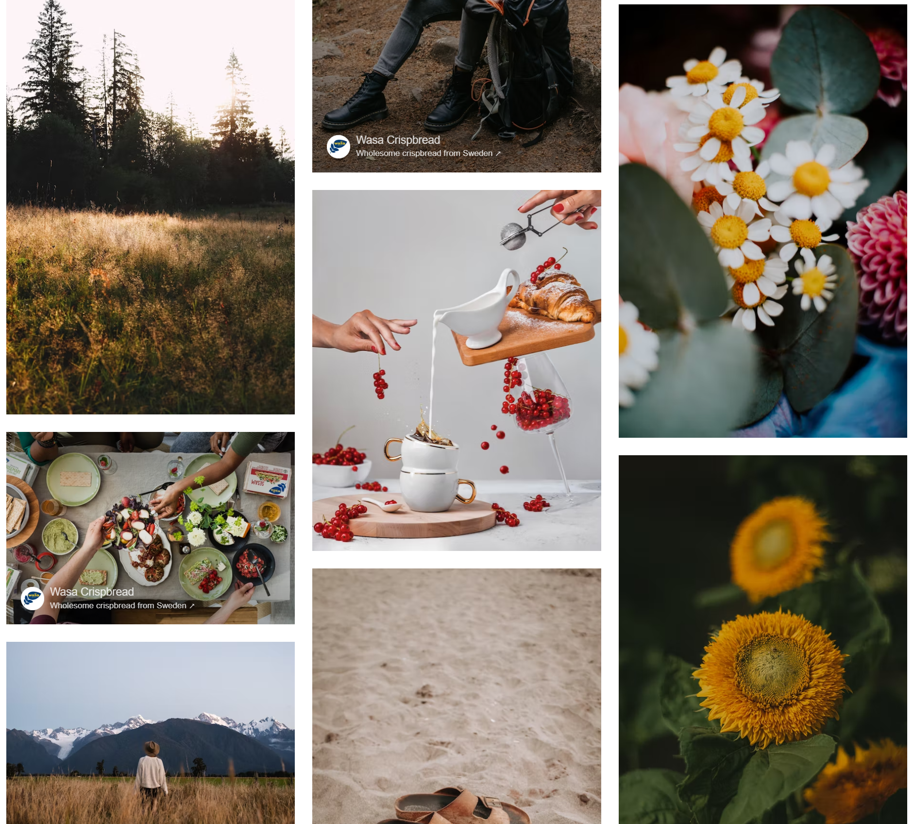 Photo of Unsplash's image gallery